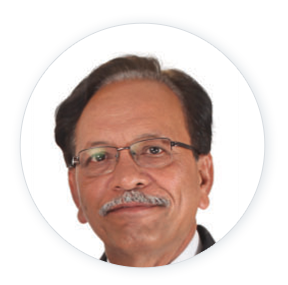 Mr. Satish Dande
